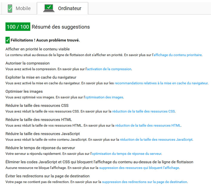 pagespeed_insights_-_2016-09-23_10-23-ordinateur